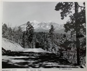 Image description is not available for 2007.038